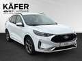 Ford Kuga 2,5 Duratec FHEV ST-Line X *ALLRAD* Automatik Weiß - thumbnail 3