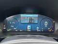 Ford Kuga 2,5 Duratec FHEV ST-Line X *ALLRAD* Automatik Weiß - thumbnail 13