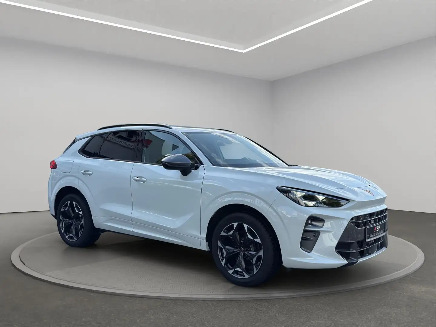 CUPRA Terramar VZ 2.0 TSI 4Drive DSG+Pano+HUD+ACC Wit - 2