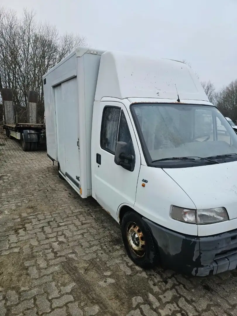 Fiat Ducato 2,8D Koffer Kupplungsschaden Weiß - 2