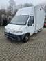 Fiat Ducato 2,8D Koffer Kupplungsschaden Blanc - thumbnail 7