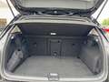 Volkswagen Golf VIII 1.5 TSI Active Navi,IQ Drive Paket Schwarz - thumbnail 16