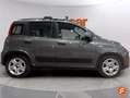 Fiat Panda City Life Hybrid 1.0 Gse 51kw (70CV) Gris - thumbnail 3