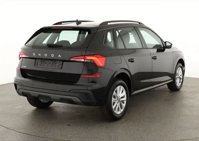 Skoda Kamiq view 2