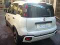 Fiat Panda Cross Pandina 1.0 FireFly Hybrid 5P Nuovo Modell Blanc - thumbnail 13