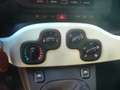 Fiat Panda Cross Pandina 1.0 FireFly Hybrid 5P Nuovo Modell Blanc - thumbnail 24