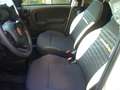 Fiat Panda Cross Pandina 1.0 FireFly Hybrid 5P Nuovo Modell Blanc - thumbnail 20