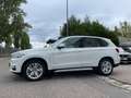 BMW X5 Baureihe X5 xDrive 40 d Weiß - thumbnail 8