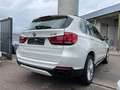 BMW X5 Baureihe X5 xDrive 40 d Weiß - thumbnail 7