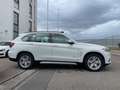 BMW X5 Baureihe X5 xDrive 40 d Weiß - thumbnail 3
