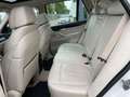 BMW X5 Baureihe X5 xDrive 40 d Weiß - thumbnail 15