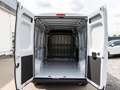 Opel Movano 35 L3H2 neuesModell+Techno7+270°+CarPlayNav Weiß - thumbnail 15