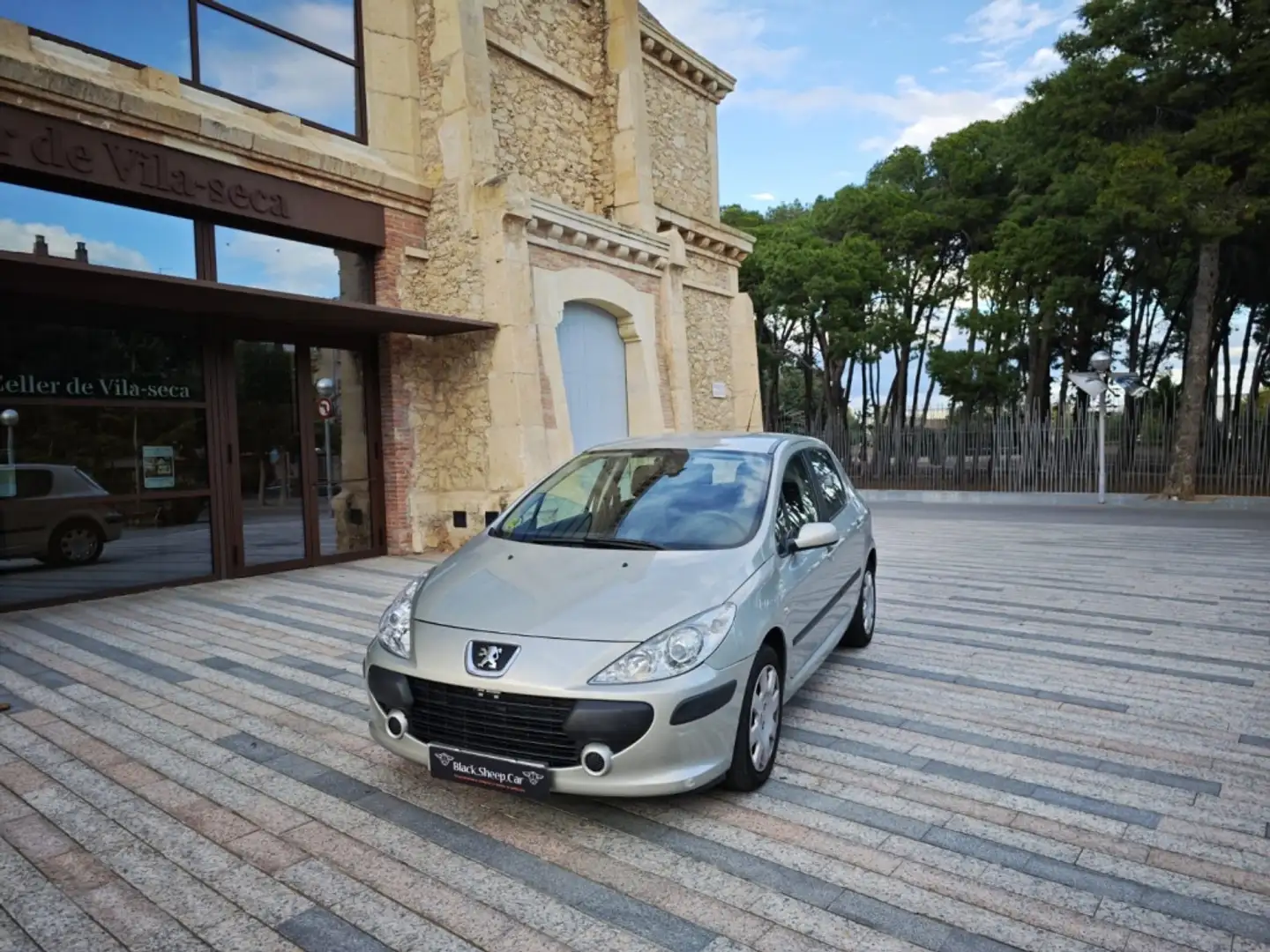 Peugeot 307 1.6HDI D-Sign 110 Grau - 1