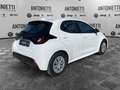 Toyota Yaris Yaris 1.5 Hybrid 5 porte Active Weiß - thumbnail 5