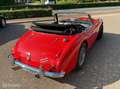Austin Healey MK II HB J7L Top Conditie Rouge - thumbnail 11