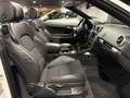 Audi A3 Cabriolet 1.8 TFSI Ambition Pro Line S-LINE - XENO Wit - thumbnail 14