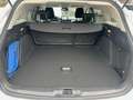Ford Focus Turnier 1.5 EcoBlue Cool & Connect Silber - thumbnail 8