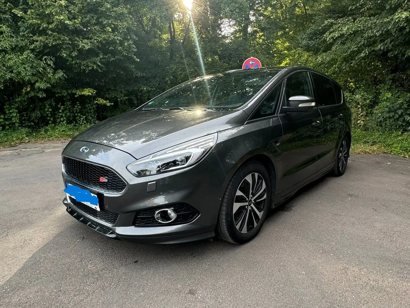 Ford S-Max S-Max Diesel 2.0 EcoBlue Bi-Turbo Aut. ST-LINE Grau - 1