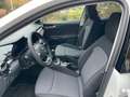 Skoda Fabia Drive 1.0 TSI 85 kW Blanc - thumbnail 5