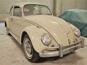 Volkswagen Maggiolino 6V