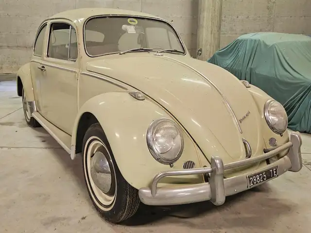 Volkswagen Beetle Volkswagen Maggiolino 6V