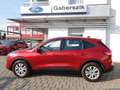 Ford Kuga 1,5 EcoBoost Cool & Connect Rot - thumbnail 2