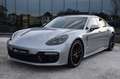 Porsche Panamera 4S Sport Design PANO Sport Exhaust Silber - thumbnail 1