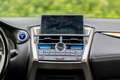 Lexus NX 300h NX 300h 300h AWD25th Ed Blauw - thumbnail 17