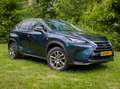 Lexus NX 300h NX 300h 300h AWD25th Ed Blauw - thumbnail 13