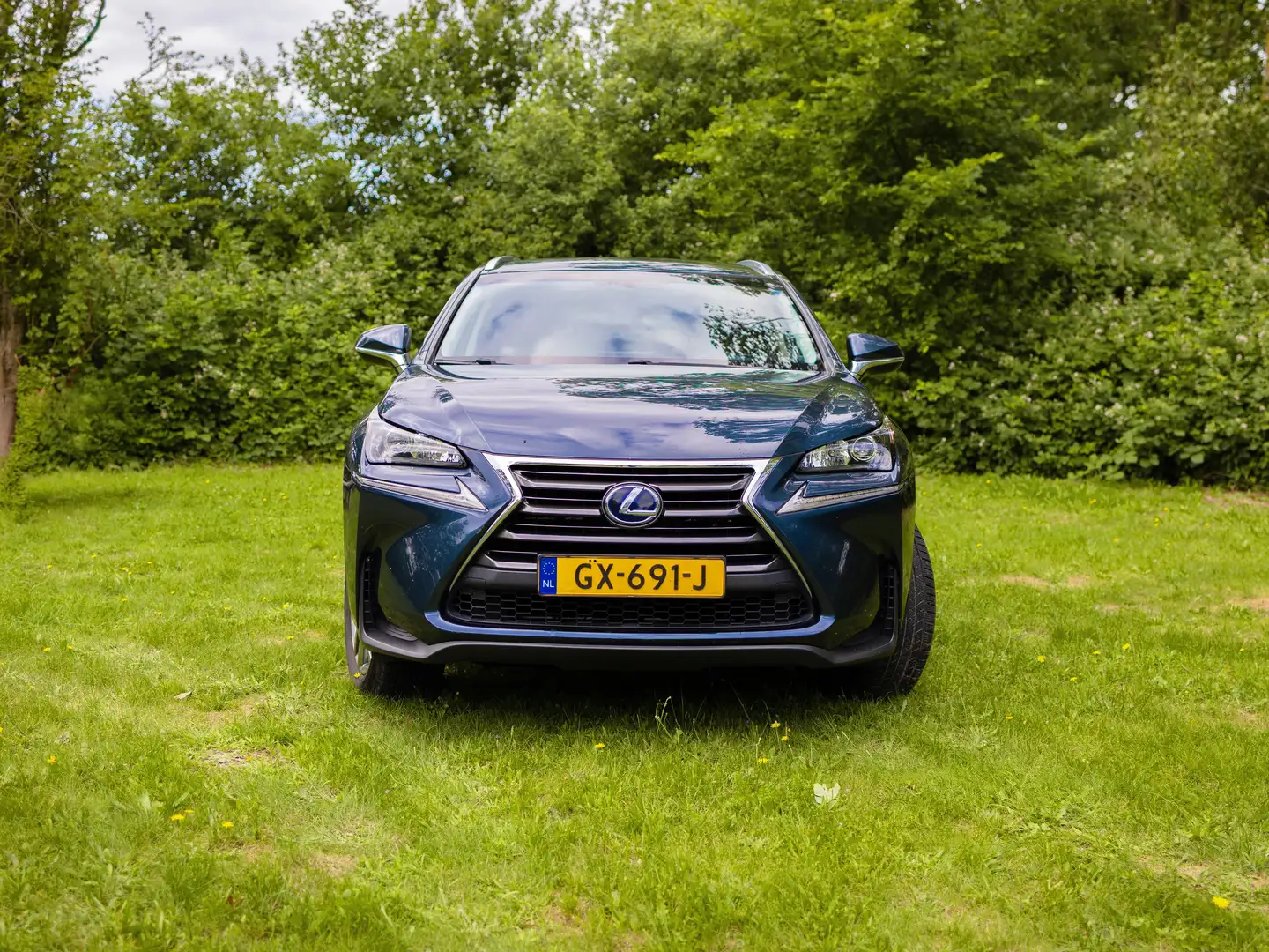 Lexus NX 300h NX 300h 300h AWD25th Ed Blauw - 2