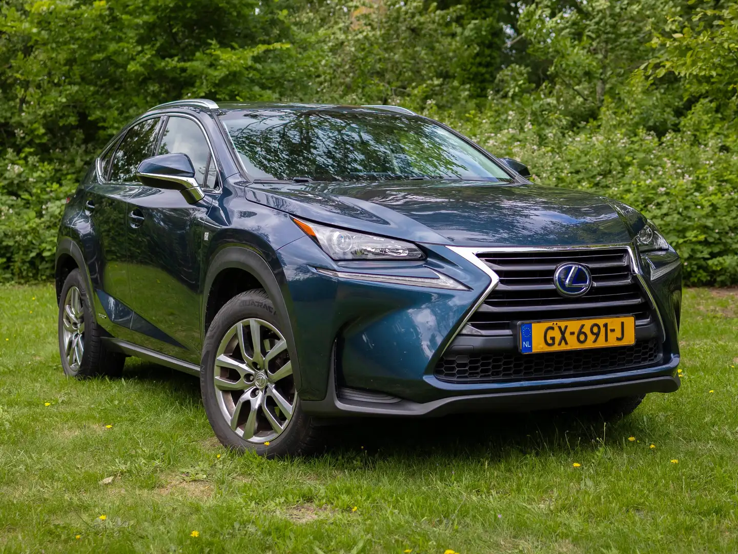 Lexus NX 300h NX 300h 300h AWD25th Ed Blauw - 1