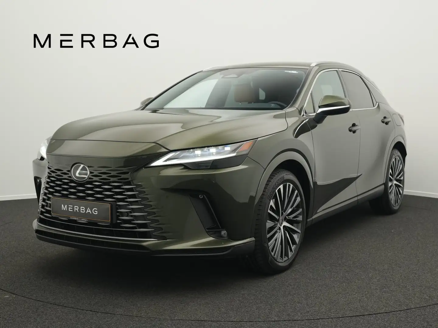 Lexus RX 350h RX 350h Luxury Line - 1