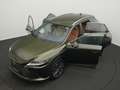 Lexus RX 350h RX 350h Luxury Line - thumbnail 14