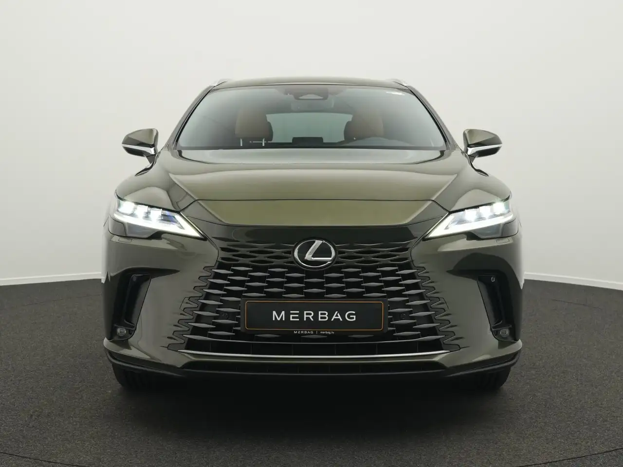 Lexus RX 350h Luxury Line, миниатюра 2