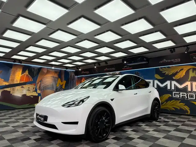 Tesla Model Y TESLA Model Y RWD (050)