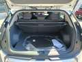 Kia EV3 Standard Range 58 kWh 204cv AIR - PRONTA CONSEGNA Beige - thumbnail 7