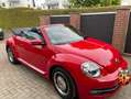 Volkswagen Beetle The Beetle Cabriolet 1.2 TSI iBeetle Design Rot - thumbnail 7