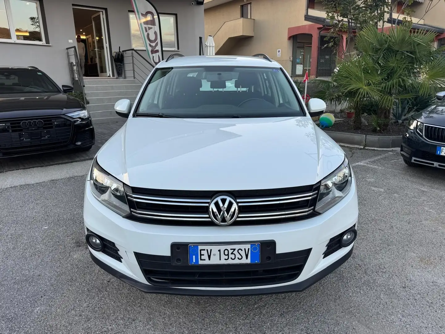 Volkswagen Tiguan Tiguan 2.0 TDI 110 CV Business Trend & Fun BlueMot Bianco - 2