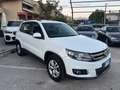 Volkswagen Tiguan Tiguan 2.0 TDI 110 CV Business Trend & Fun BlueMot Bianco - thumbnail 3