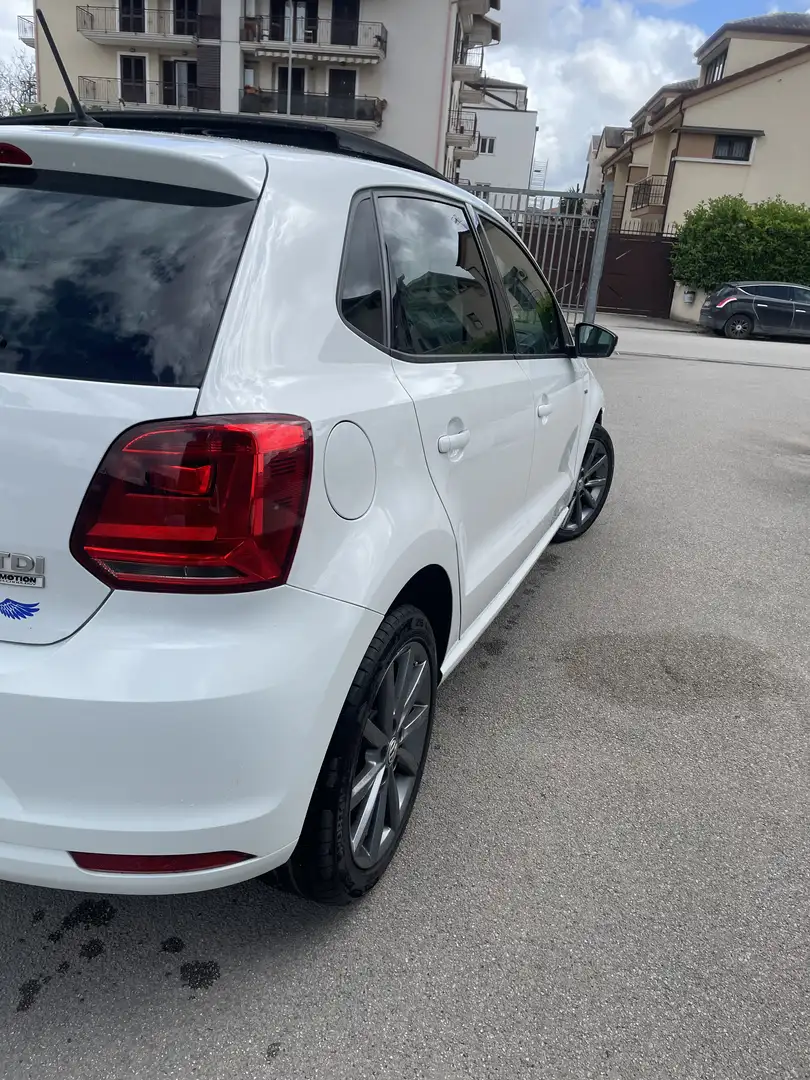 Volkswagen Polo Polo 5p 1.4 tdi bm Fresh 90cv Bianco - 2