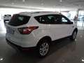 Ford Kuga 2.0TDCi Auto S&S Trend+ 4x4 150 Wit - thumbnail 3