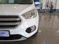 Ford Kuga 2.0TDCi Auto S&S Trend+ 4x4 150 Wit - thumbnail 14