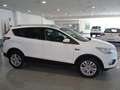 Ford Kuga 2.0TDCi Auto S&S Trend+ 4x4 150 Wit - thumbnail 13