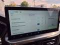 Ford Kuga Titanium 243PS PHEV Automatik Sitzheizung v+h L... Grün - thumbnail 22