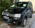 Fiat Panda Climbing 4x4 1.2 benzina Nero - thumbnail 2