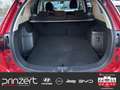 Mitsubishi Outlander 2.0 "Diamant Edition 2WD" *Rückf* Rot - thumbnail 14