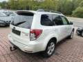 Subaru Forester Exclusive Wit - thumbnail 6