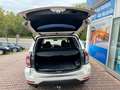 Subaru Forester Exclusive Wit - thumbnail 9