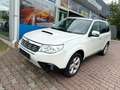 Subaru Forester Exclusive Wit - thumbnail 2