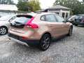Volvo V40 Cross Country V40Cross Country, Summum,Pan.Dach,Totwinkel Braun - thumbnail 4